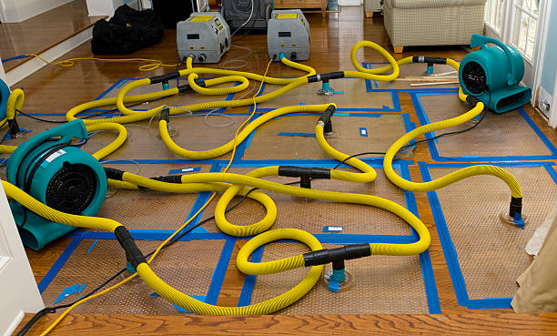 Professional Water Damage Repair technician working in Marshall, CA